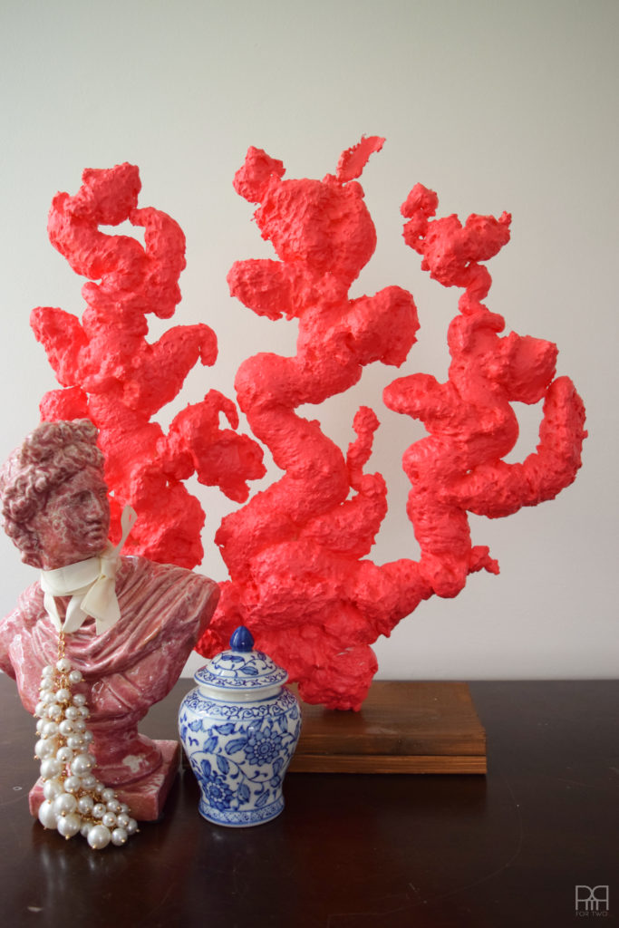 DIY Coral \with vase and bust