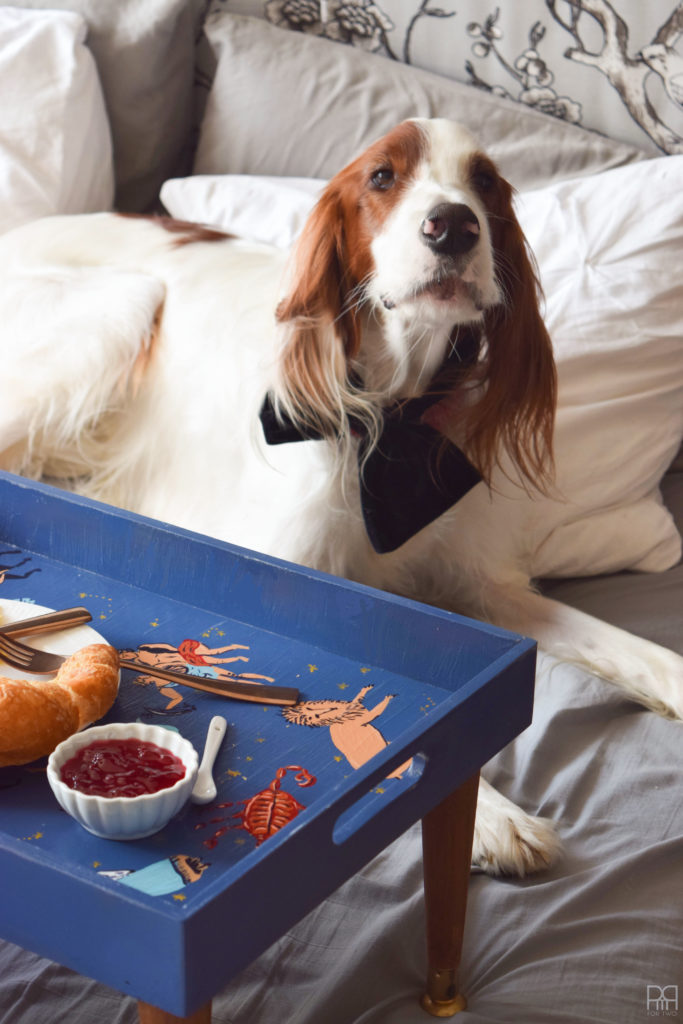 Breakfast In Bed Tray finished 