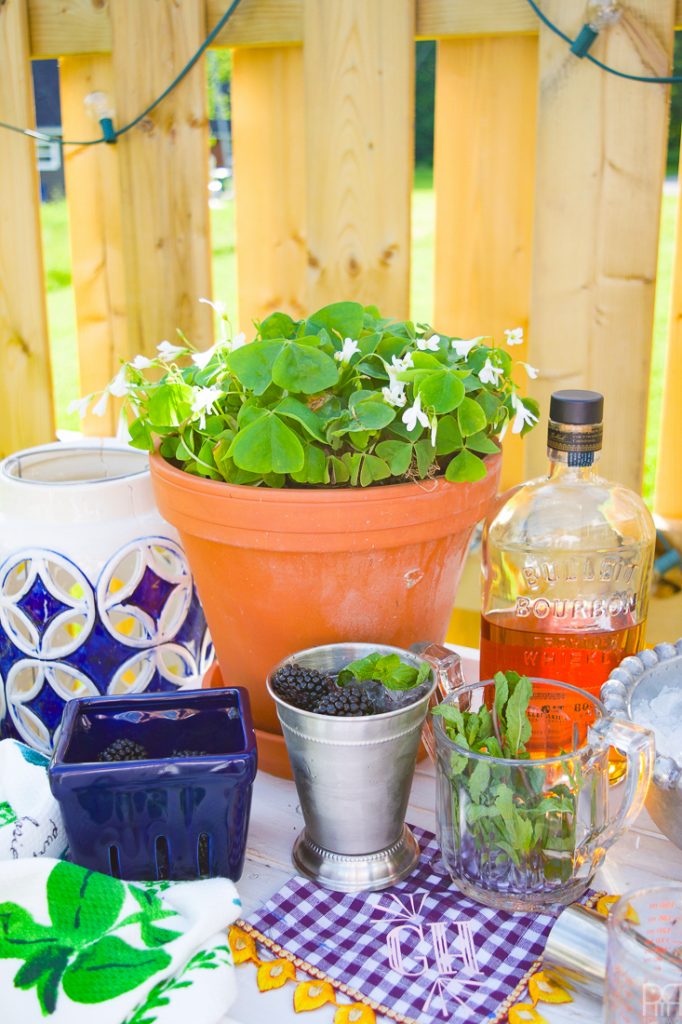 Make your own Blackberry Mint Julep and enjoy a twist on the classic summer drink, perfect for weekends, TGIFs, and any old excuse for a summer cocktail.