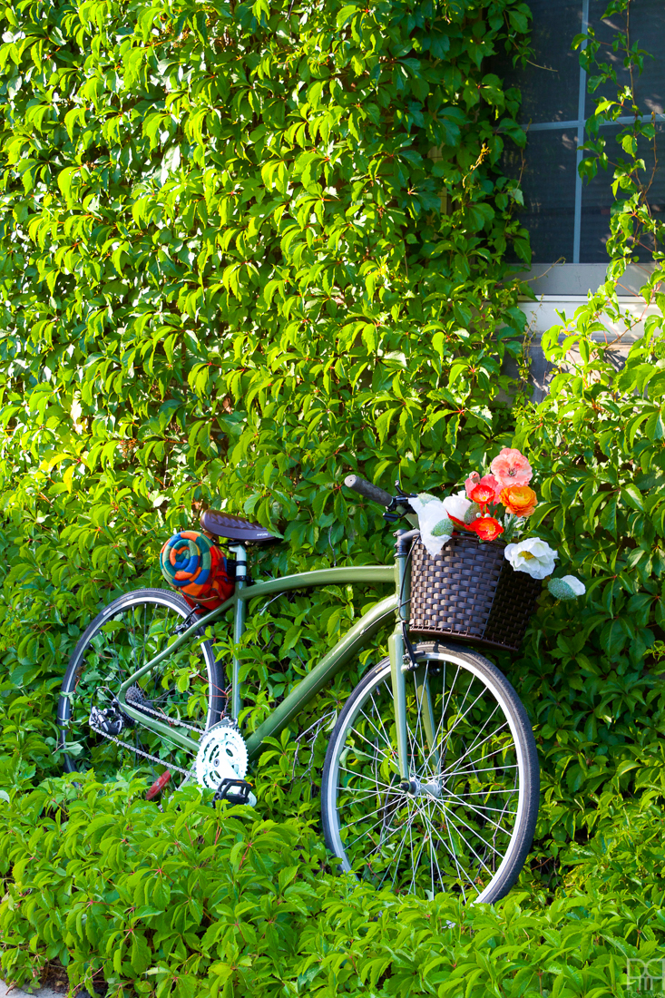 Repaint bicycle cheap