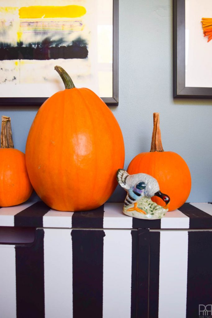close up of pumpkins on a black and white dresser