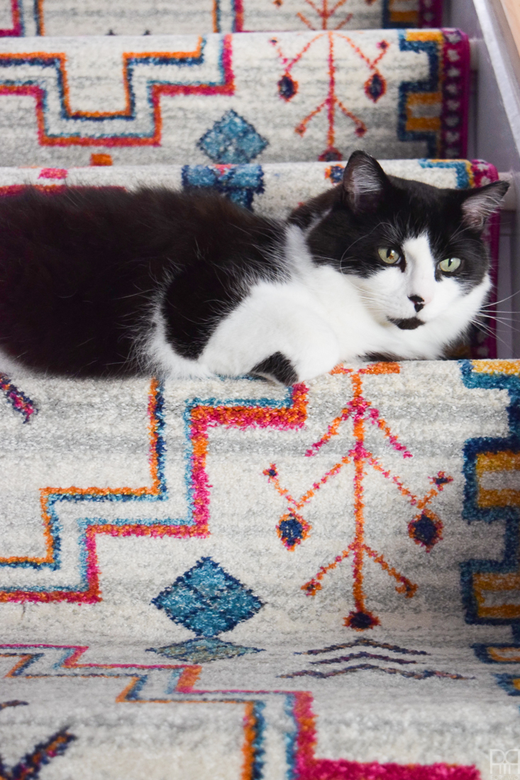 Using runners from Rugs USA I gave our staircase a makeover in a renter friendly way. Our staircase now looks like the main artery in our colourful and bold home instead of a space to hide. Head to the blog to see what products I used and why it's renter friendly.
