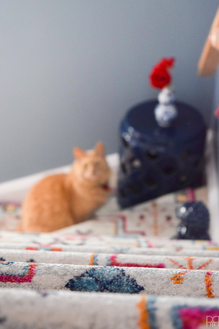 Using runners from Rugs USA I gave our staircase a makeover in a renter friendly way. Our staircase now looks like the main artery in our colourful and bold home instead of a space to hide. Head to the blog to see what products I used and why it's renter friendly.