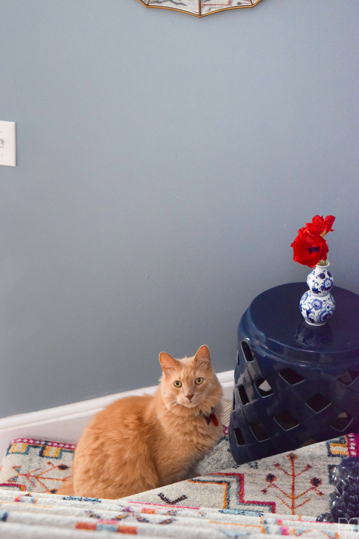 Using runners from Rugs USA I gave our staircase a makeover in a renter friendly way. Our staircase now looks like the main artery in our colourful and bold home instead of a space to hide. Head to the blog to see what products I used and why it's renter friendly.