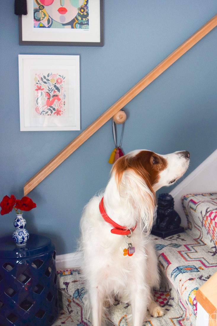 Using runners from Rugs USA I gave our staircase a makeover in a renter friendly way. Our staircase now looks like the main artery in our colourful and bold home instead of a space to hide. Head to the blog to see what products I used and why it's renter friendly.