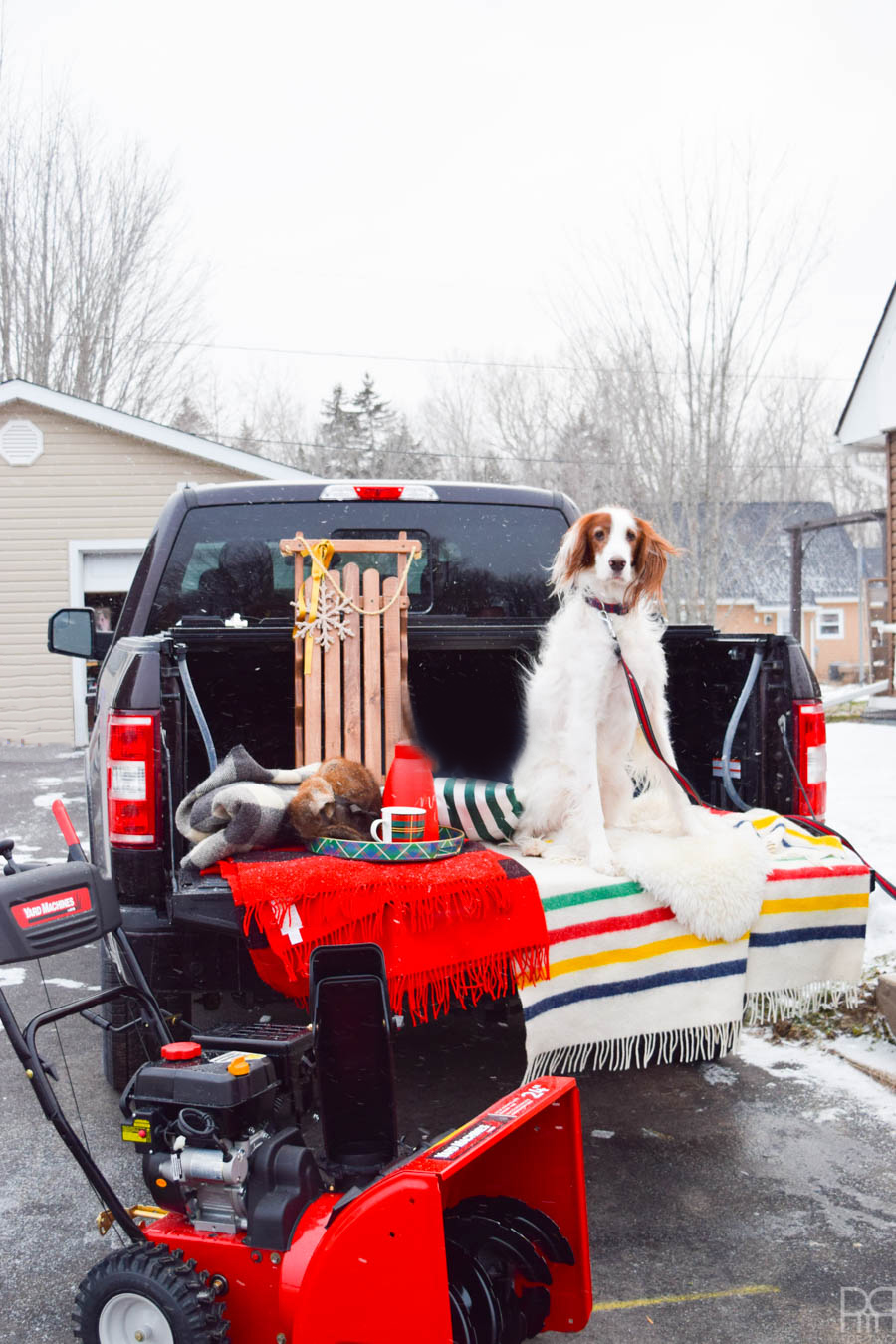 Conquer your winter blues and head outside to enjoy mother nature! You'll get to the business of enjoying the great outdoors so much faster when you've got a snowblower to help power through the ice and snow. Come see what I'm doing to enjoy the Winter