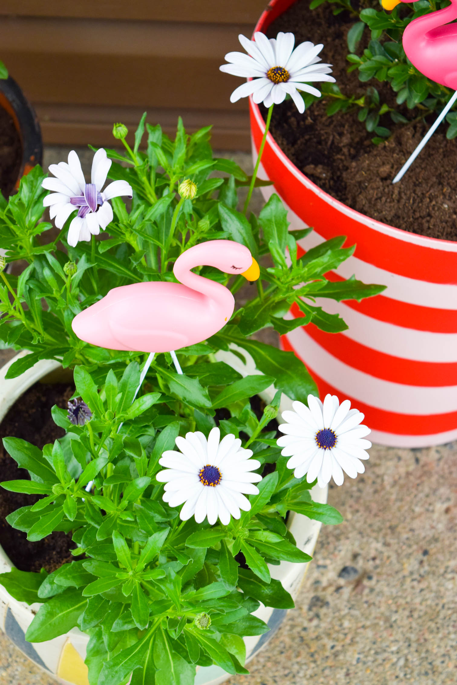 Create the colour coordinated front porch situation of your dreams with DIY spray painted striped planters using the Krylon & Tiffany Pratt colour collection.