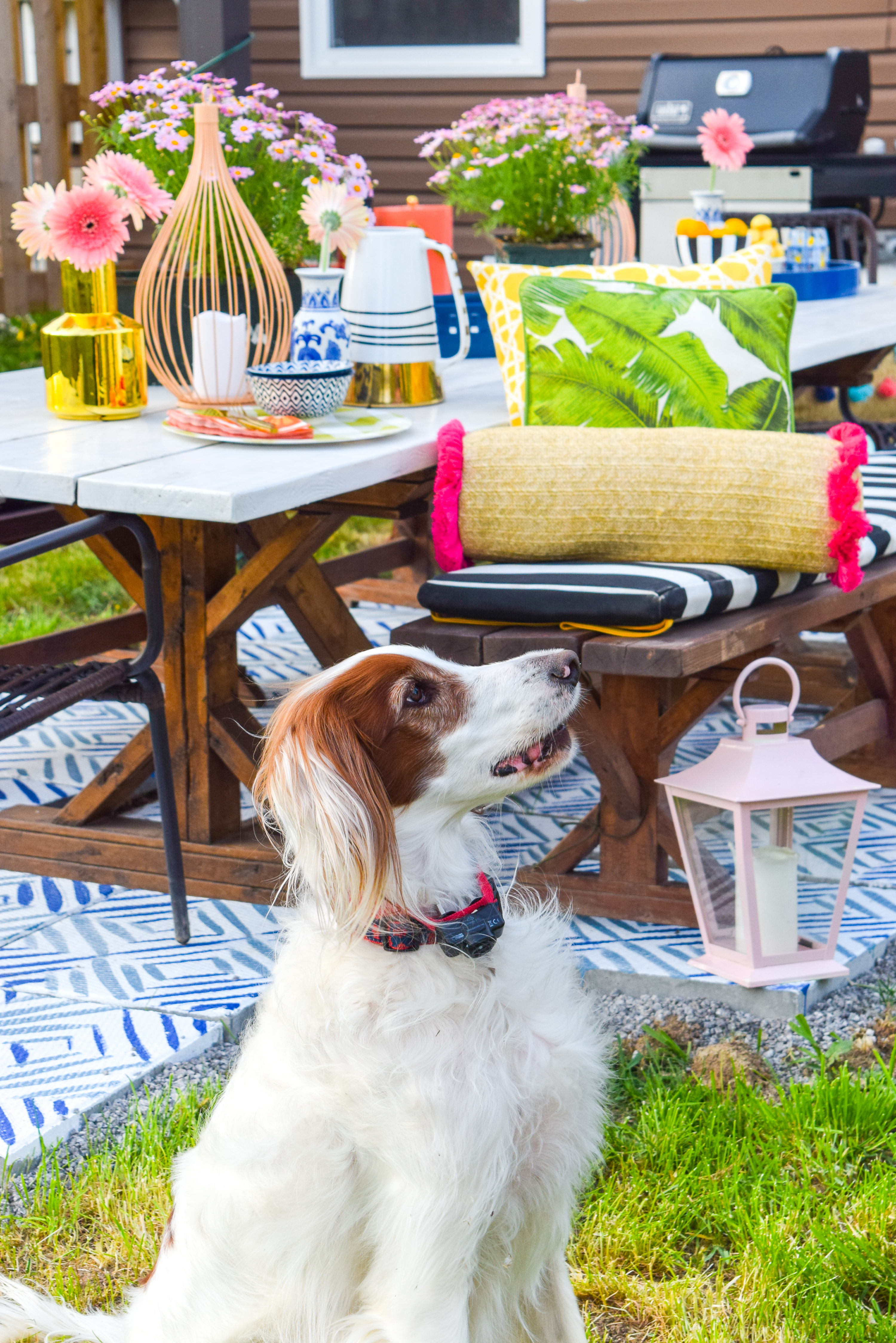Looking for a renter friendly update to your backyard in time for summer? Try painted some cement pavers to look like patio tiles, using Decoart's Curb Appeal line of paints.