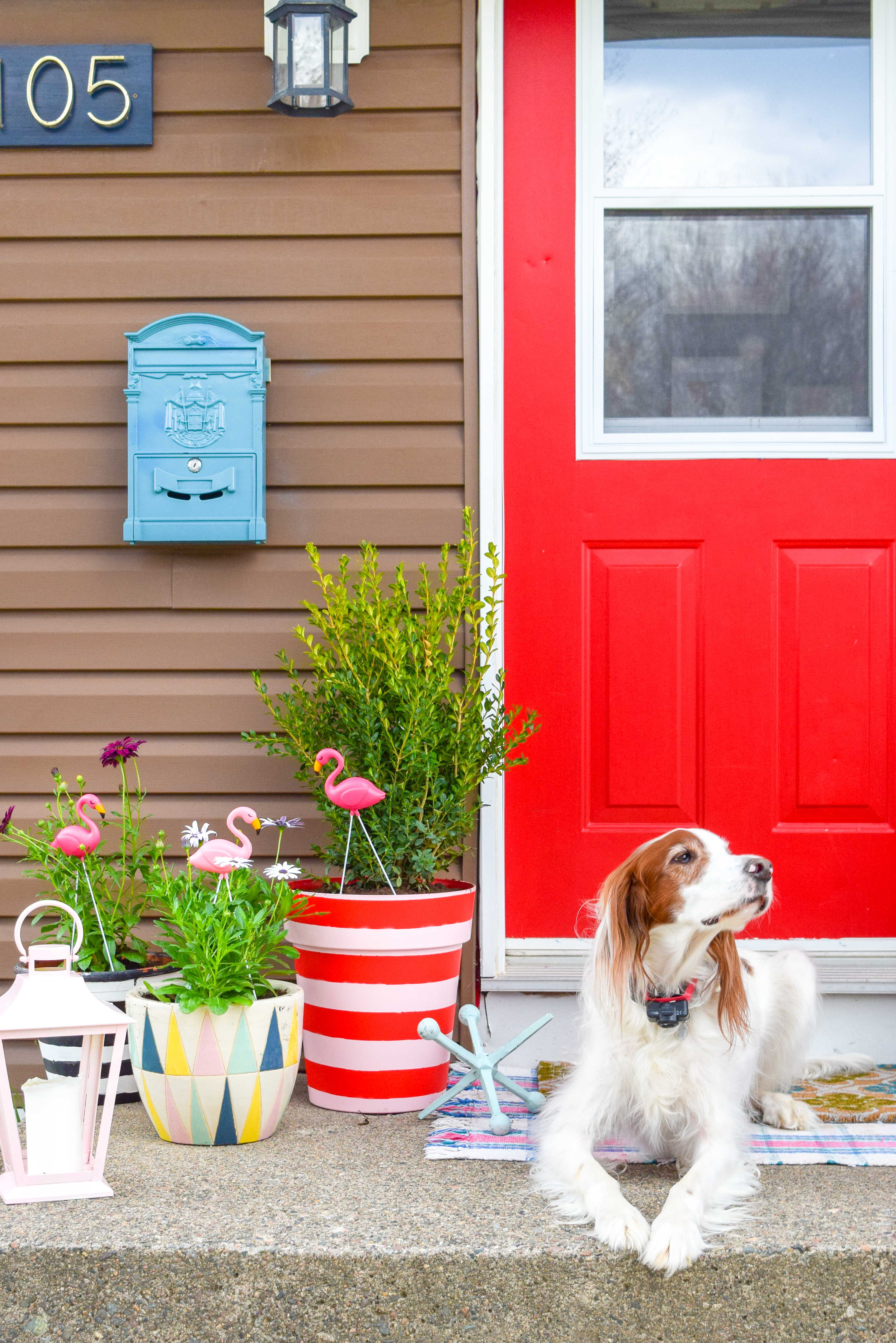 Create the colour coordinated front porch situation of your dreams with DIY spray painted striped planters using the Krylon & Tiffany Pratt colour collection.