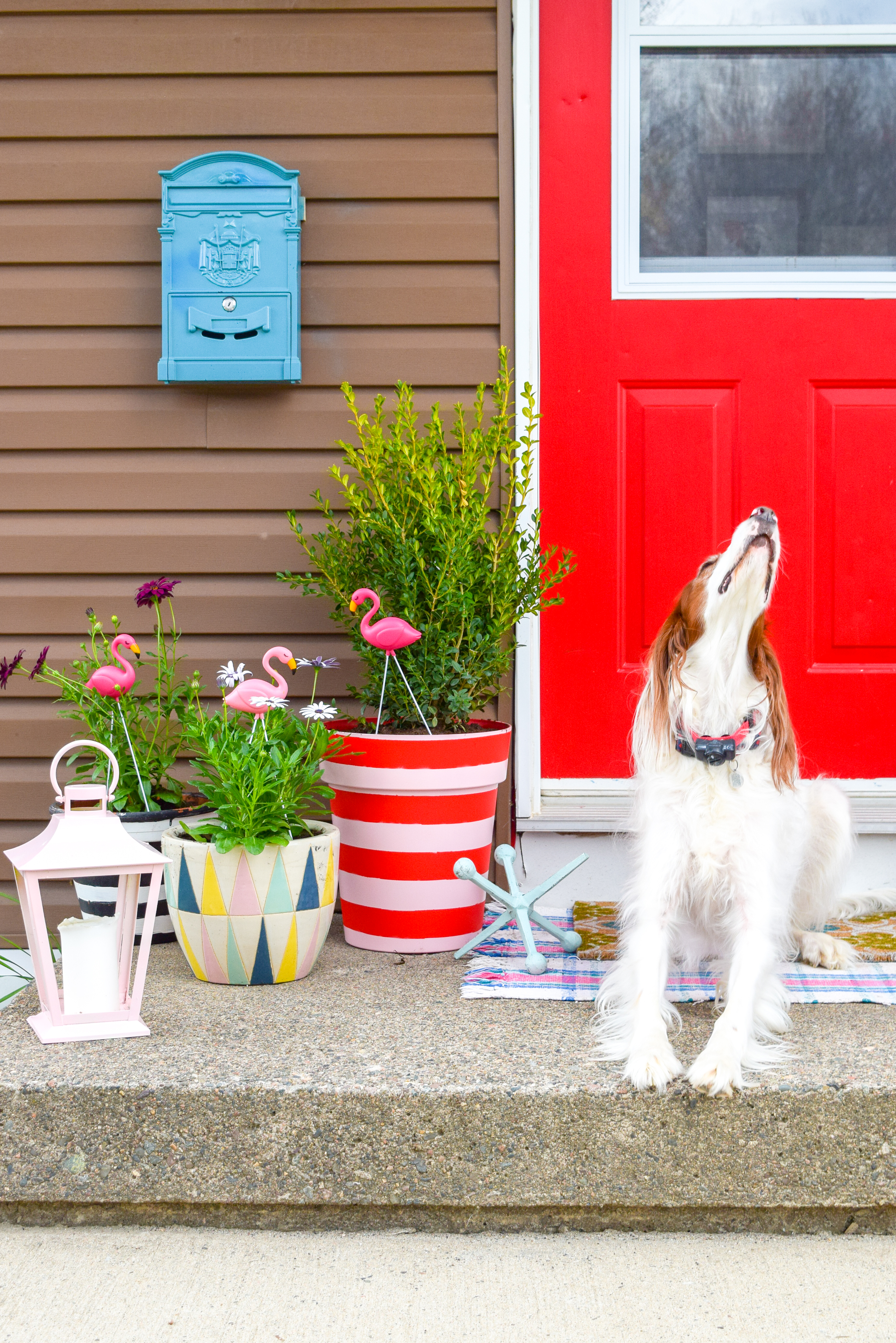 Create the colour coordinated front porch situation of your dreams with DIY spray painted striped planters using the Krylon & Tiffany Pratt colour collection.