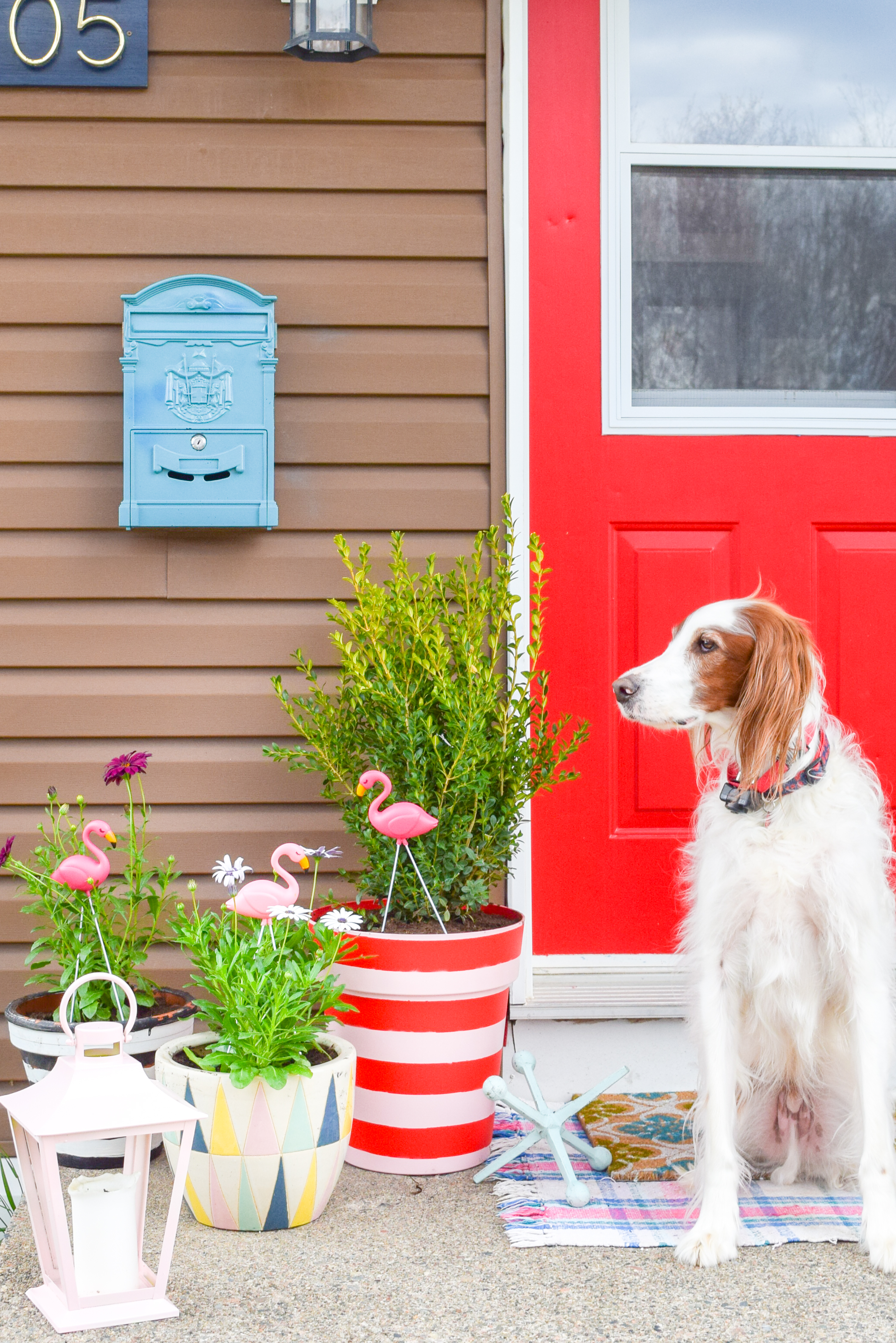 Create the colour coordinated front porch situation of your dreams with DIY spray painted striped planters using the Krylon & Tiffany Pratt colour collection.