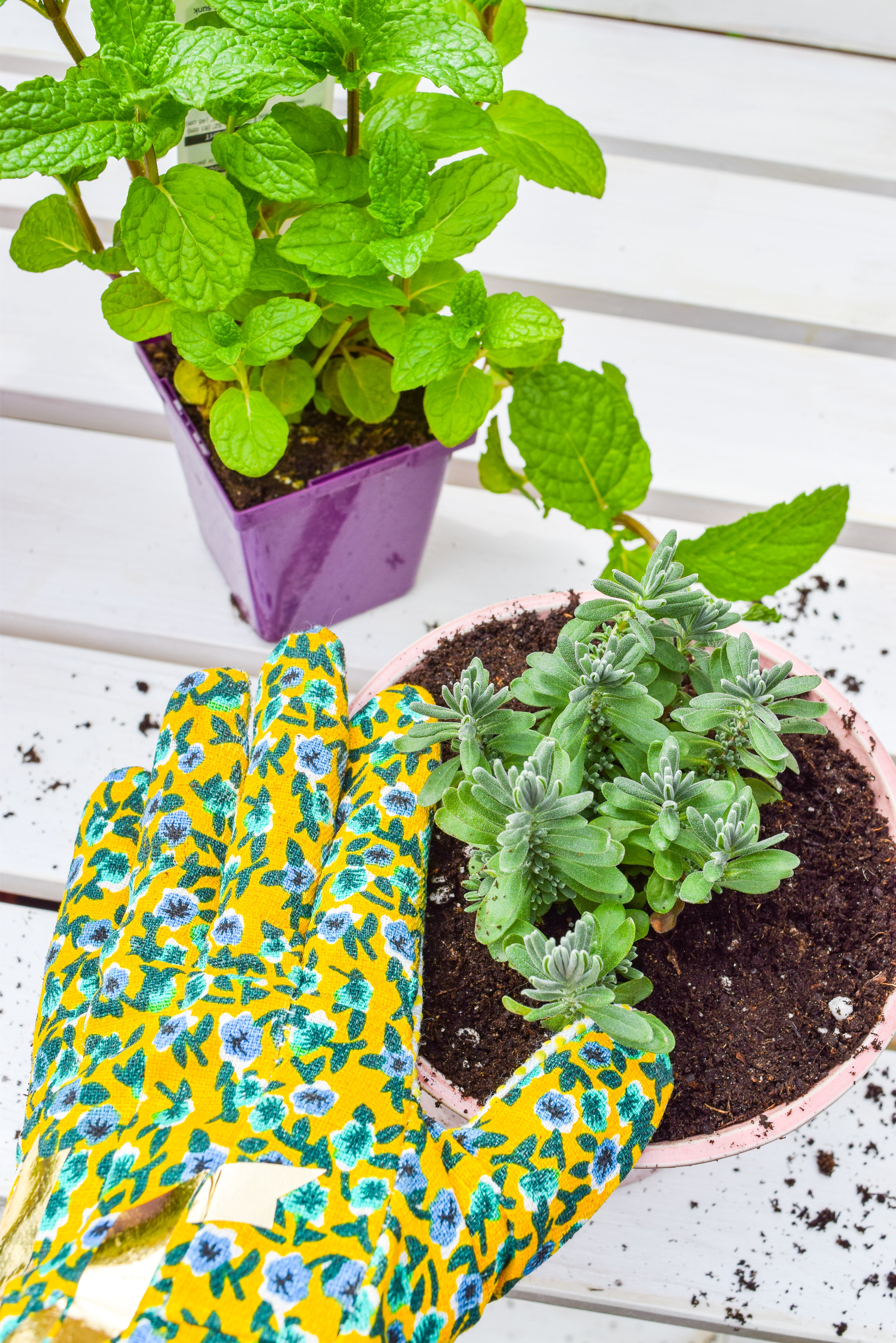 Looking for mosquito relief without all the candles and sprays? Try these mosquito repellent planters full of herbs and plants that keep them at bay. While you're at it, give your potting bench an update with a stylish white wash and a proper top coat to see it through the weather.