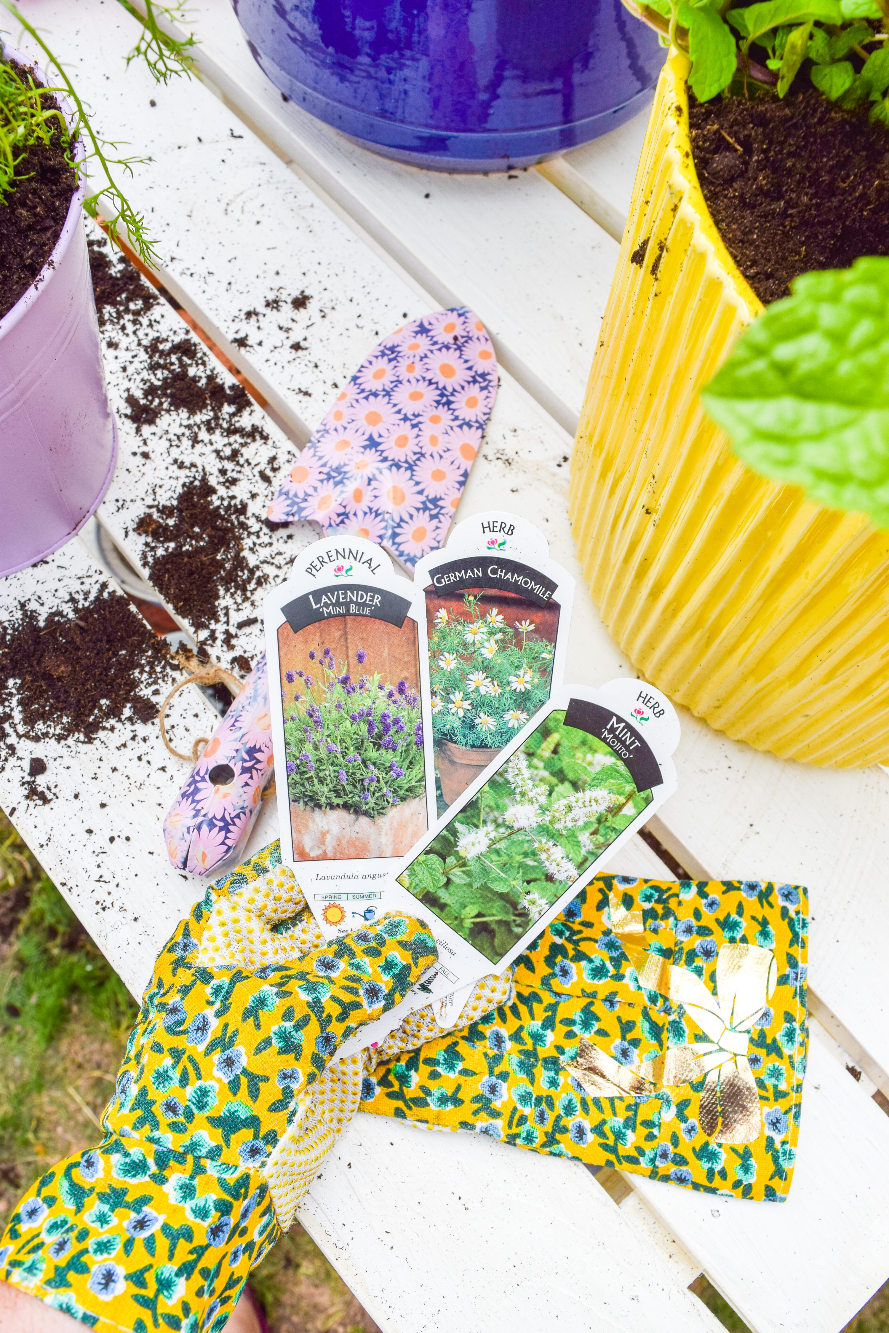  Looking for mosquito relief without all the candles and sprays? Try these mosquito repellent planters full of herbs and plants that keep them at bay. While you're at it, give your potting bench an update with a stylish white wash and a proper top coat to see it through the weather.