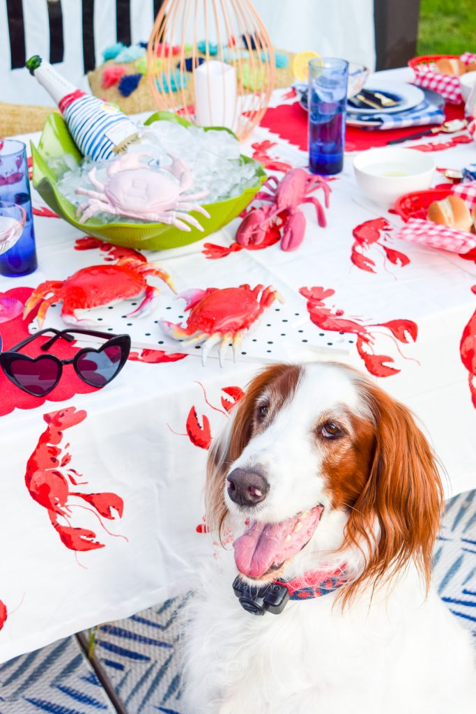 dog sitting next to seafood tablescape