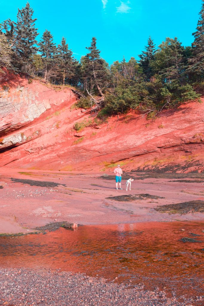 man and dog standing in the St. Martins sea caves