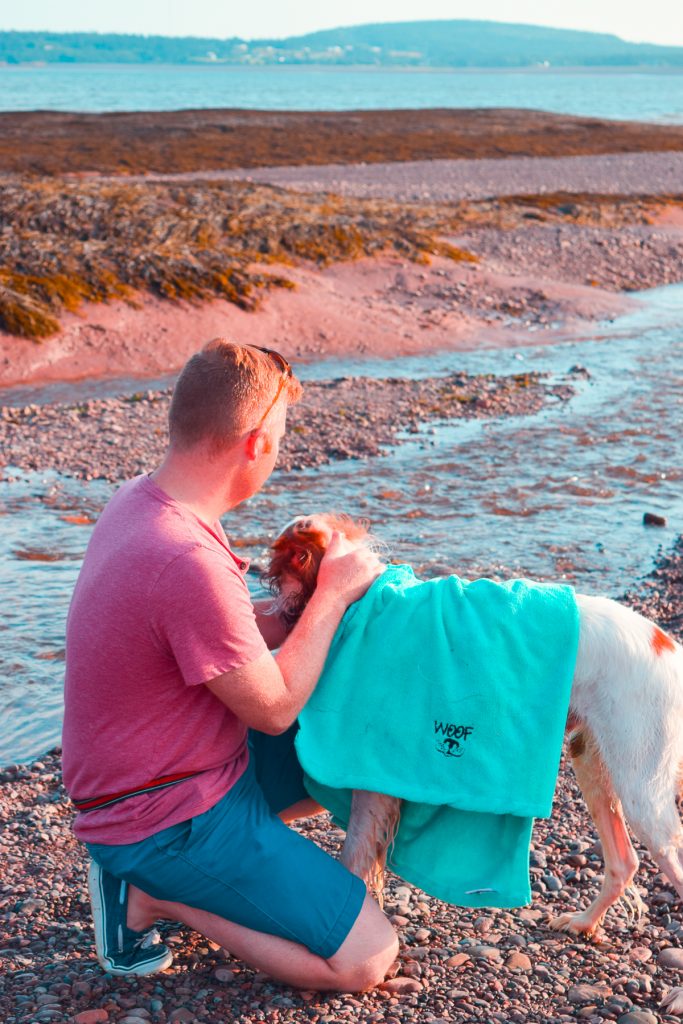 man towelling dog at the beach