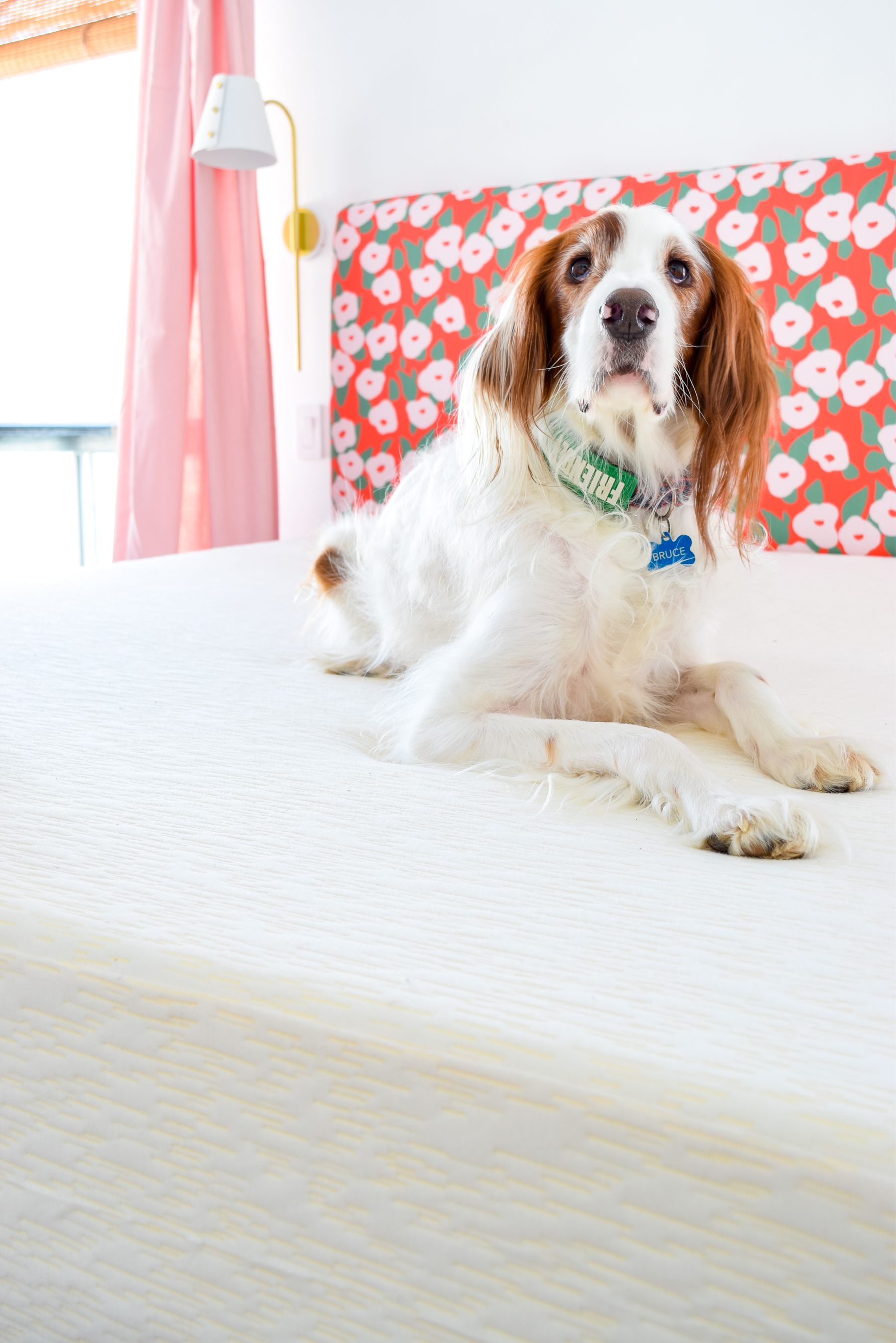 It's been a minute, so I wanted to tell you all why we chose a Wayfair sleep bed! The price is right, the quality is ????, and we've got 2 now!