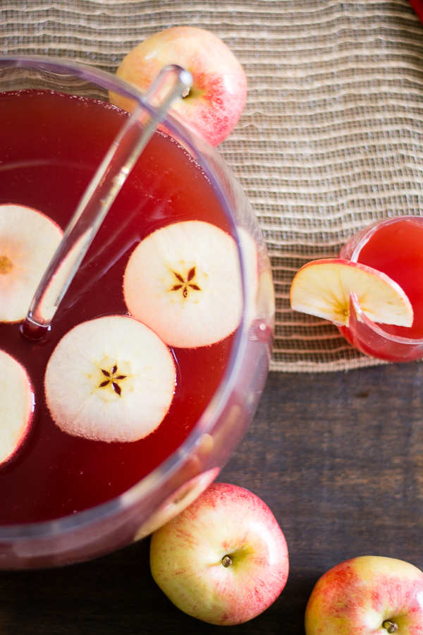  Apple Harvest Punch by Elisabeth McKnight