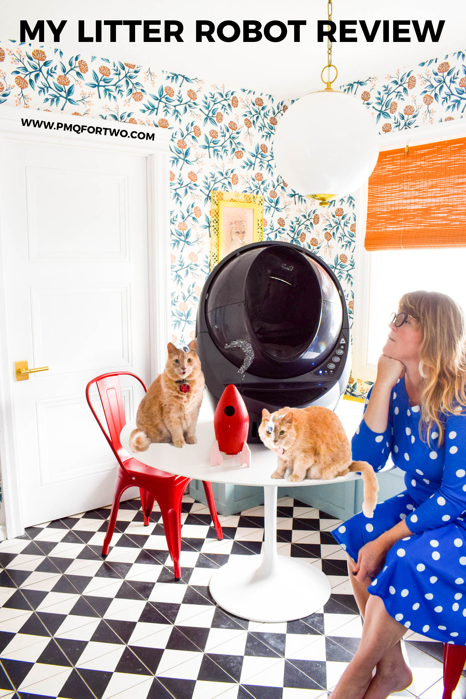 A self-cleaning litter box doesn't have to be a thing of the future. We love our Litter Robot in our multi-cat household, and I'll tell you why! Come read my review