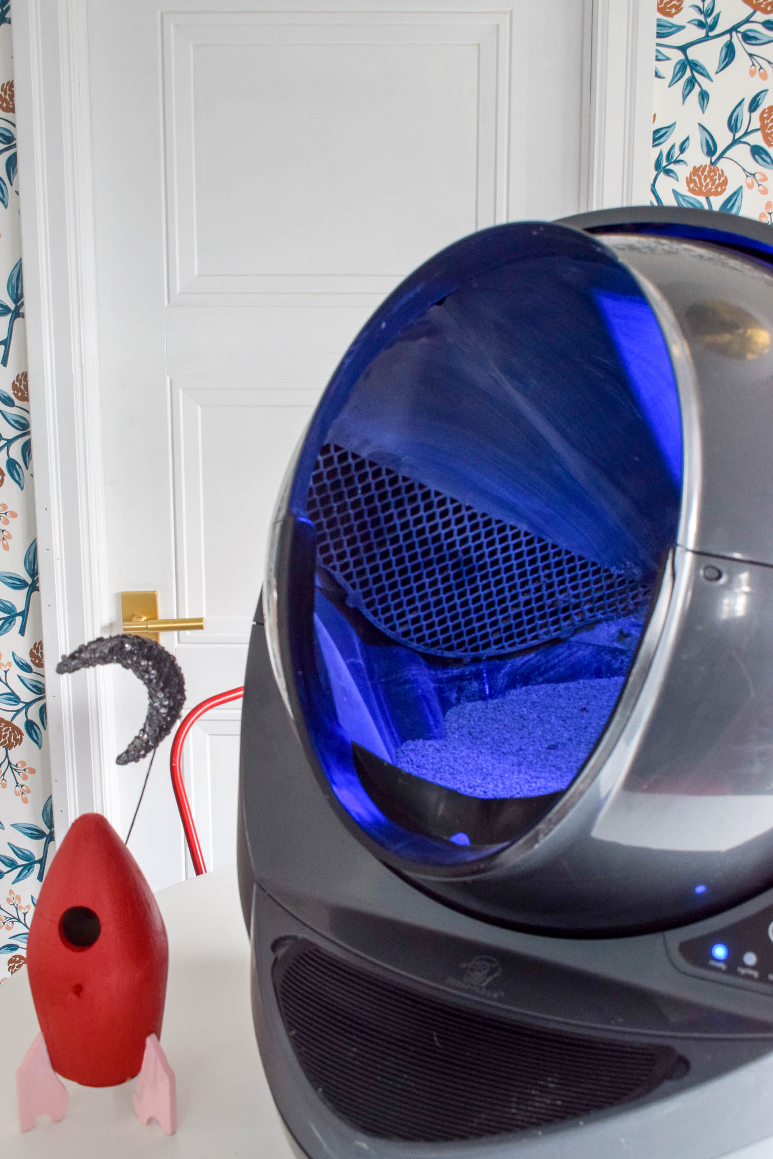 A self-cleaning litter box doesn't have to be a thing of the future. We love our Litter Robot in our multi-cat household, and I'll tell you why! Come read my review