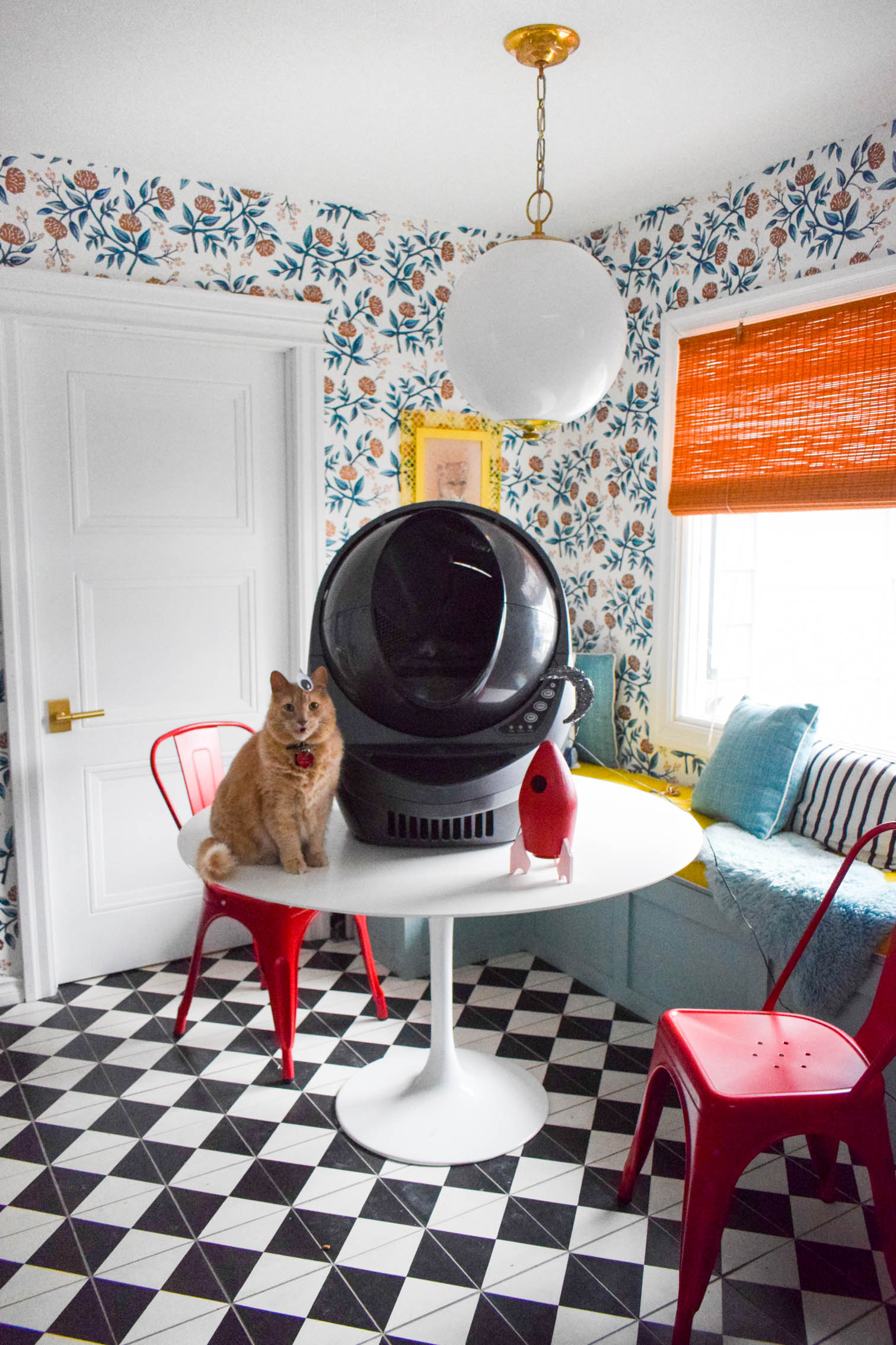 A self-cleaning litter box doesn't have to be a thing of the future. We love our Litter Robot in our multi-cat household, and I'll tell you why! Come read my review